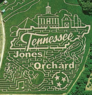 10-Acre Corn Maze and Fall Festival at Jones Orchard just north of Memphis